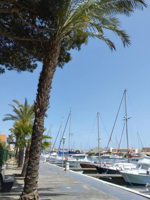 Studio 4 Couchages Avec Piscine D'Ete Vue Port Agde Zewnętrze zdjęcie