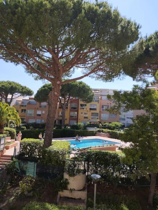 Studio 4 Couchages Avec Piscine D'Ete Vue Port Agde Zewnętrze zdjęcie